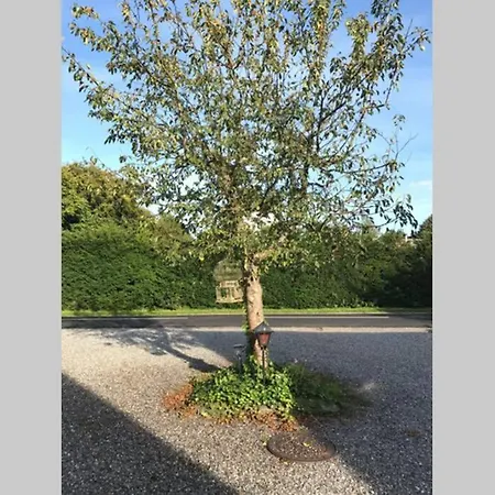 Apartamento Appleflower Farm Retro