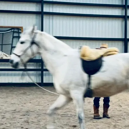 Apartamento Appleflower Farm Retro